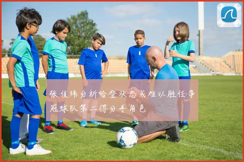张佳玮分析哈登状态或难以胜任争冠球队第二得分手角色