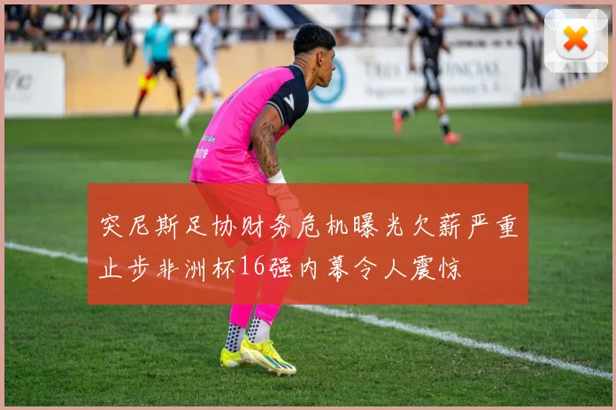 突尼斯足协财务危机曝光欠薪严重止步非洲杯16强内幕令人震惊